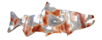abalone-noborder