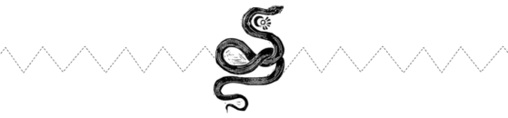 SNAKE DIVIDER TEST
