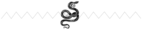 SNAKE DIVIDER TEST