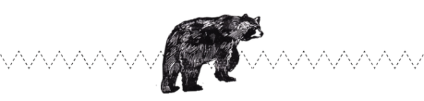 bear banner 2