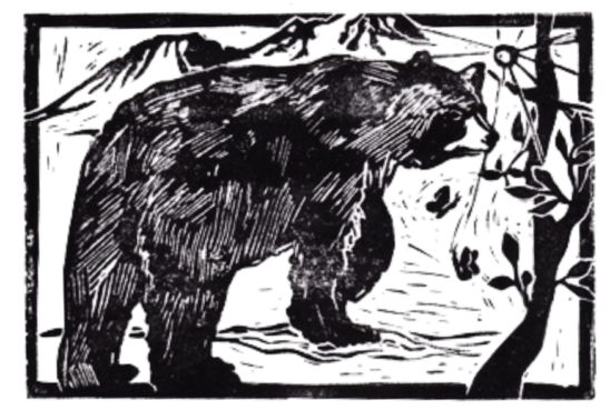 bear transparent bg