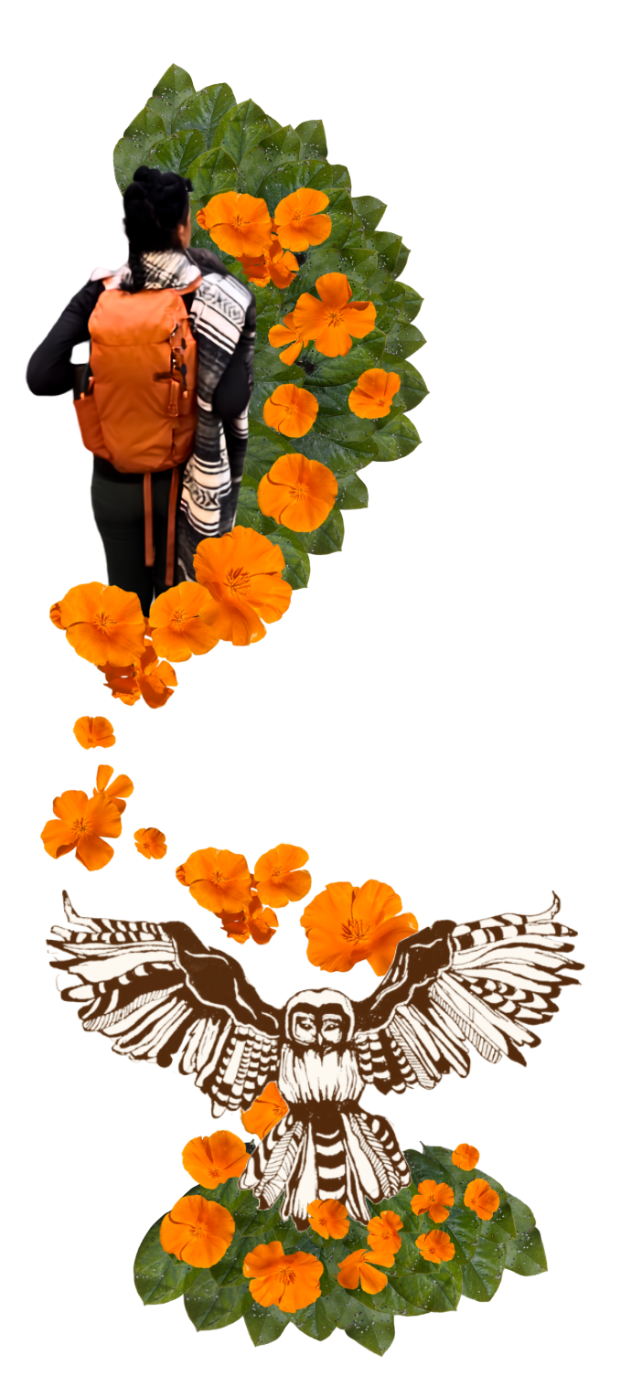 Dey walking with an orange backpack through orange poppies with owl at bottom