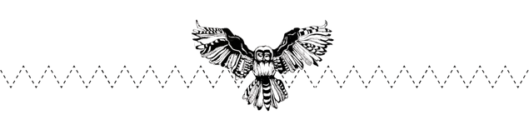 owl banner