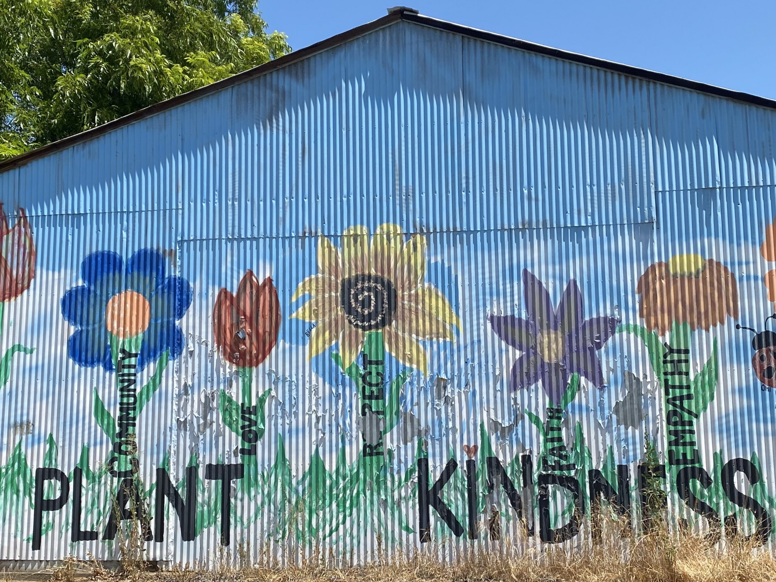 Plant Kindness wall